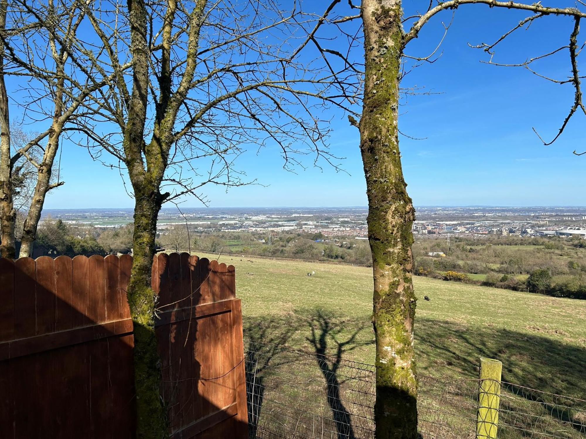 Sky Gazer Cabin In The Woods Dublin Dış mekan fotoğraf
